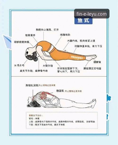 乐鱼体育可靠吗推荐 乐鱼体育平台最新动态:新手必看的可靠性与使用指南全解析